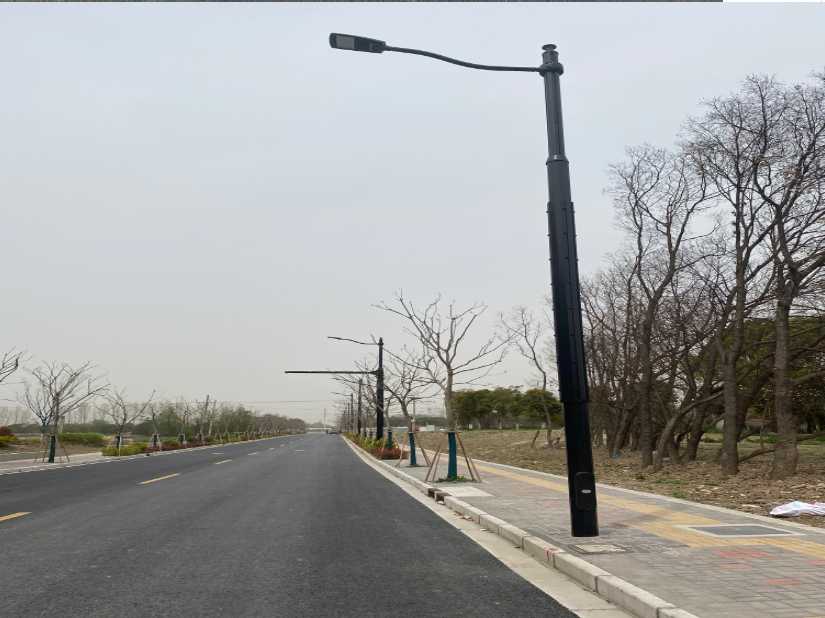 克东县上海综合杆 太阳能路灯工程